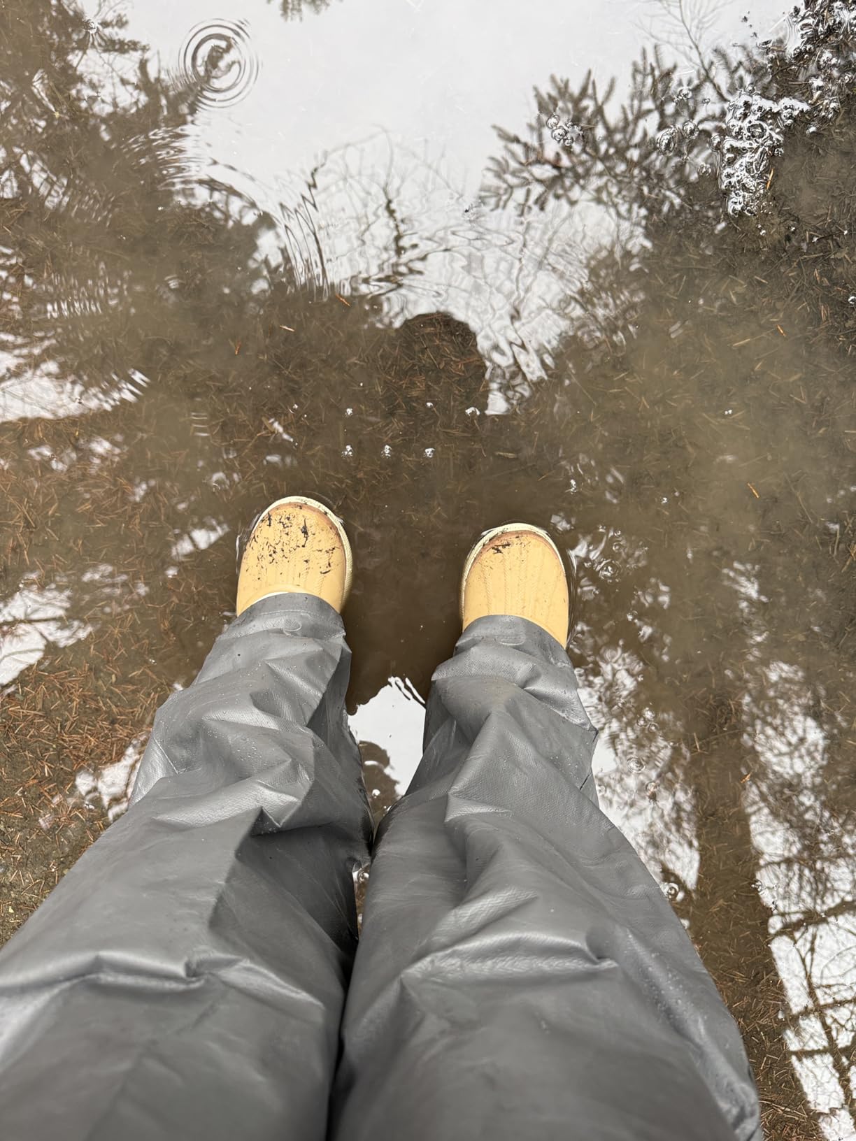 Women's Out N About IV Chillz Waterproof Boot customer photo 1