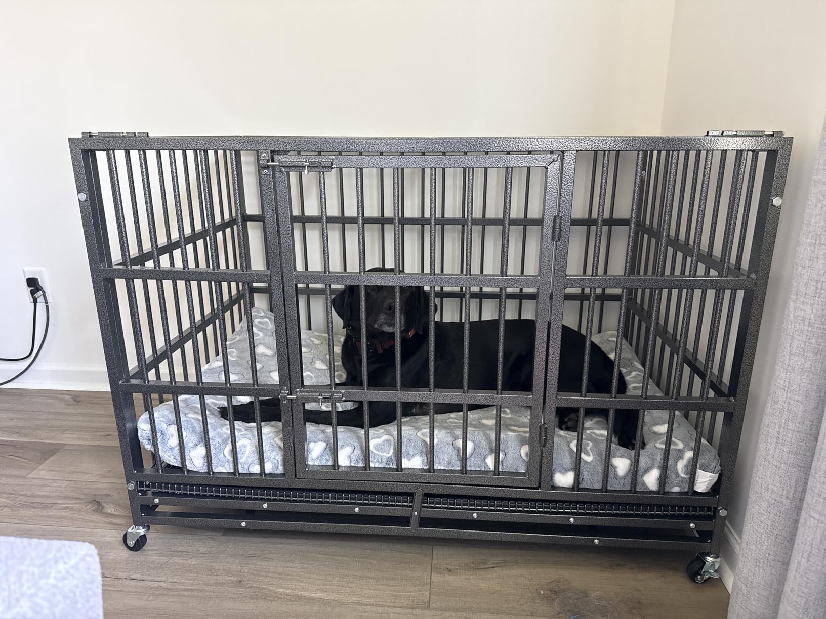 BOLDBONE 54 inch Heavy Duty Indestructible and Escape-Proof Dog Crate Cage Kennel for Large Dogs, High Anxiety Dog Crate with Removable Wire Trays and Wheels, Extra Large customer photo 2