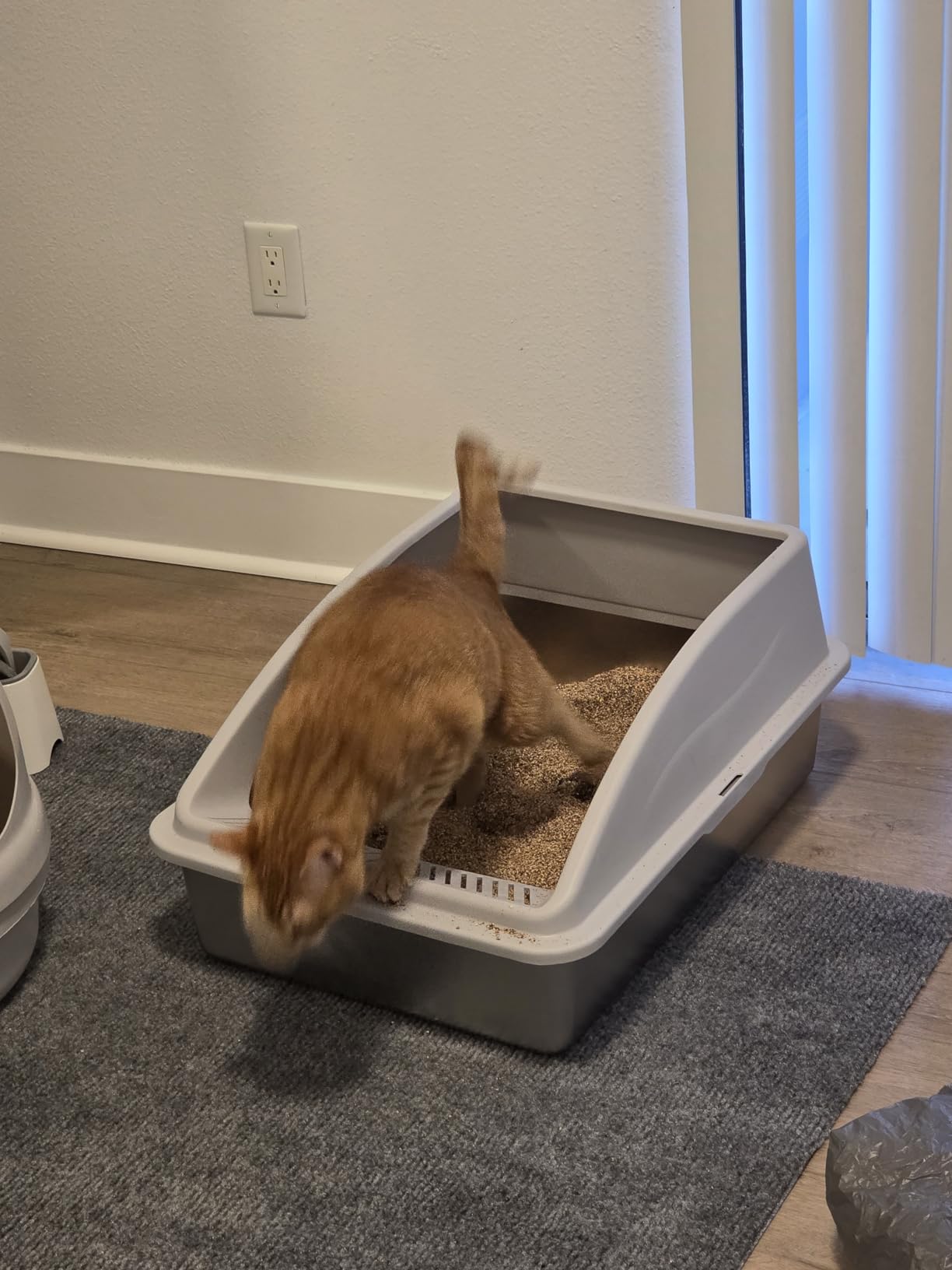 Stainless Steel Litter Box | XL Enclosed Cat Litter Boxes with Lid for Big Cats | High Sided, Anti-Urine Leakage | Non-Stick Bottom & Includes Litter Mat & Metal Scoop customer photo 1