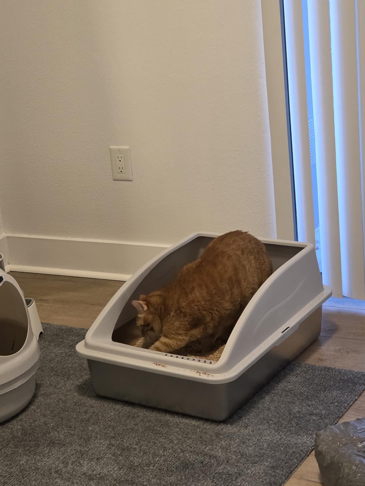 Stainless Steel Litter Box | XL Enclosed Cat Litter Boxes with Lid for Big Cats | High Sided, Anti-Urine Leakage | Non-Stick Bottom & Includes Litter Mat & Metal Scoop customer photo 2