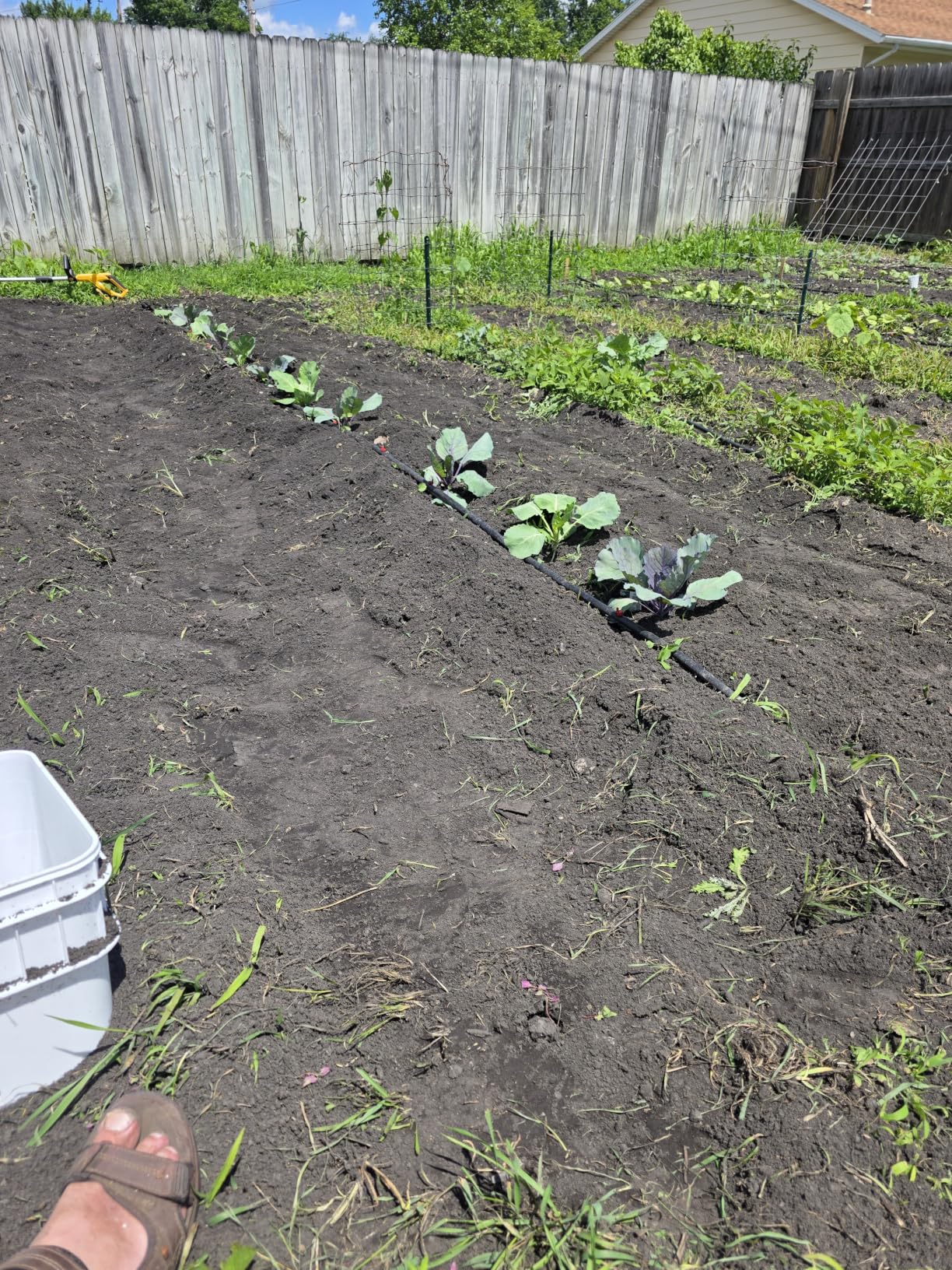 Alloyman 20V Cordless Tiller Cultivator, 360RPM Electric Garden Tiller, with 2 * 4.0Ah Batteries & Charger, 9In Tilling Width and 6.6In Depth Garden Rototiller customer photo 1