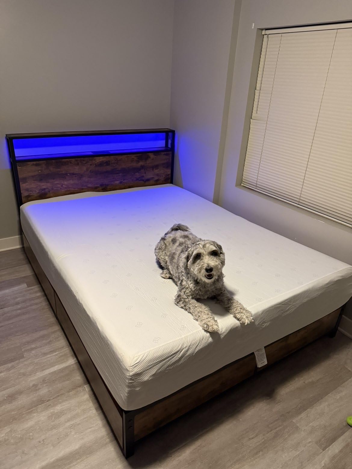 Lifezone Queen Bed Frame with 2-Tier Storage Headboard, Metal Platform Bed Frame with 4 Storage Drawers, Built in Charging Station & LED, Noise-Free/Metal Support/No Box Spring Needed, Rustic Grey customer photo 1
