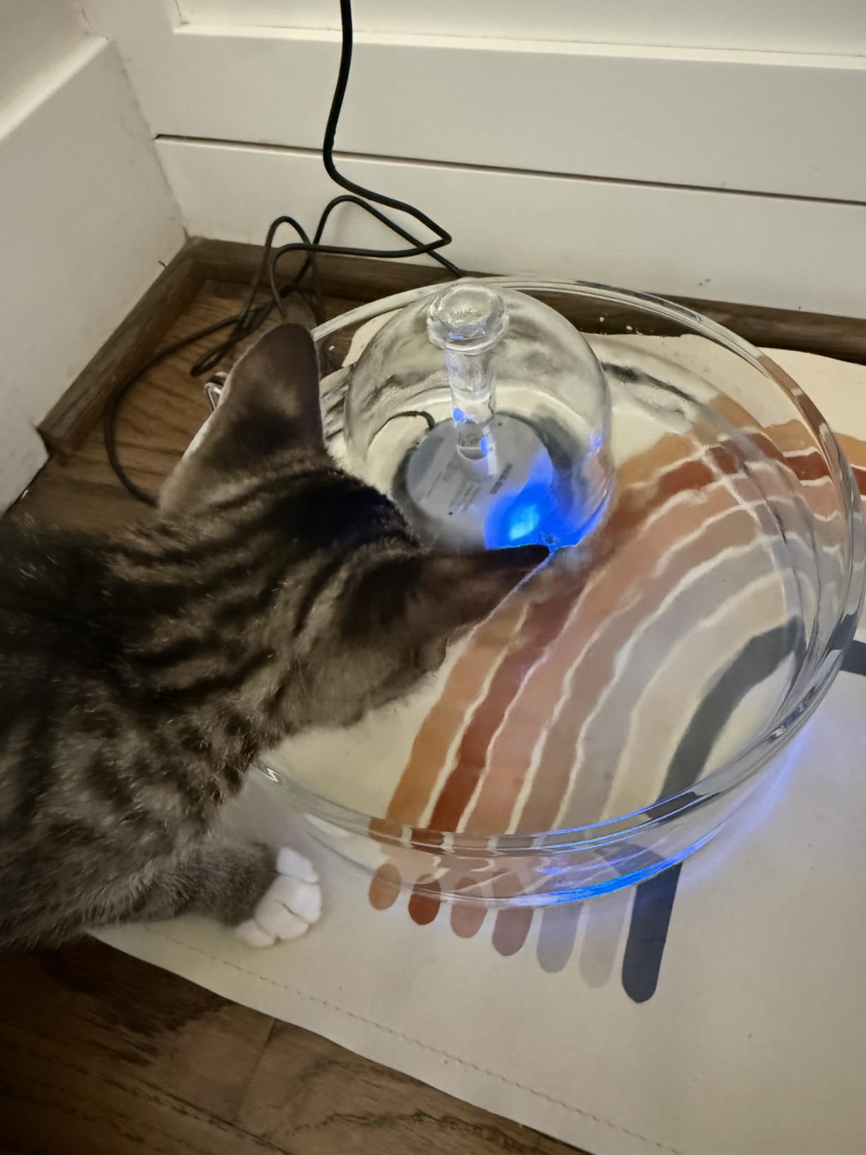 Brook Glass Pet Fountain (90oz/2.7L) - Cat & Dog Water Fountain - Glass Cat Fountain & Automatic Water Dispenser for Drinking customer photo 1