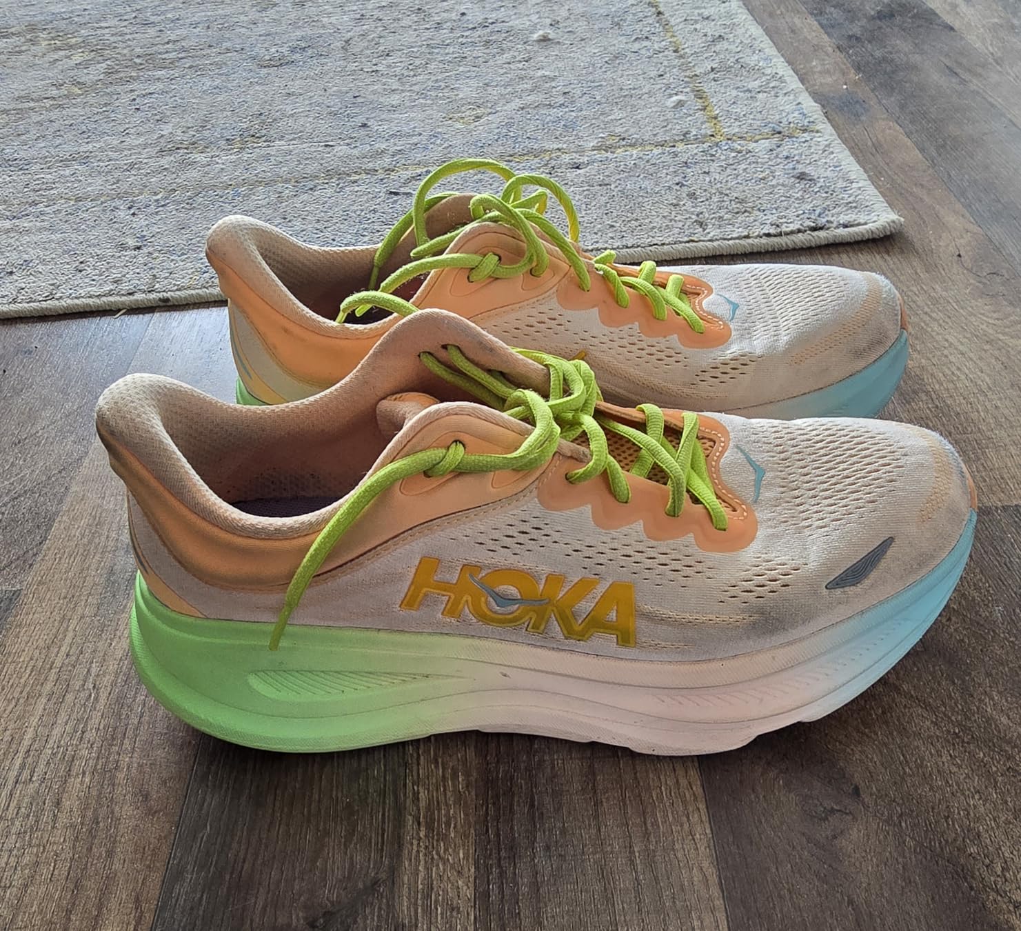 Hoka Men's Bondi 9 Running Shoes customer photo 2