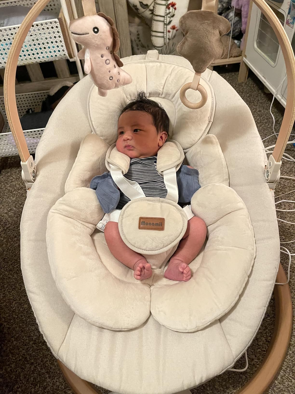 Monamii Baby Swing, Bluetooth Infant Swing with Music Speaker, 5 Speeds and Remote Control, Indoor & Outdoor Use customer photo 2