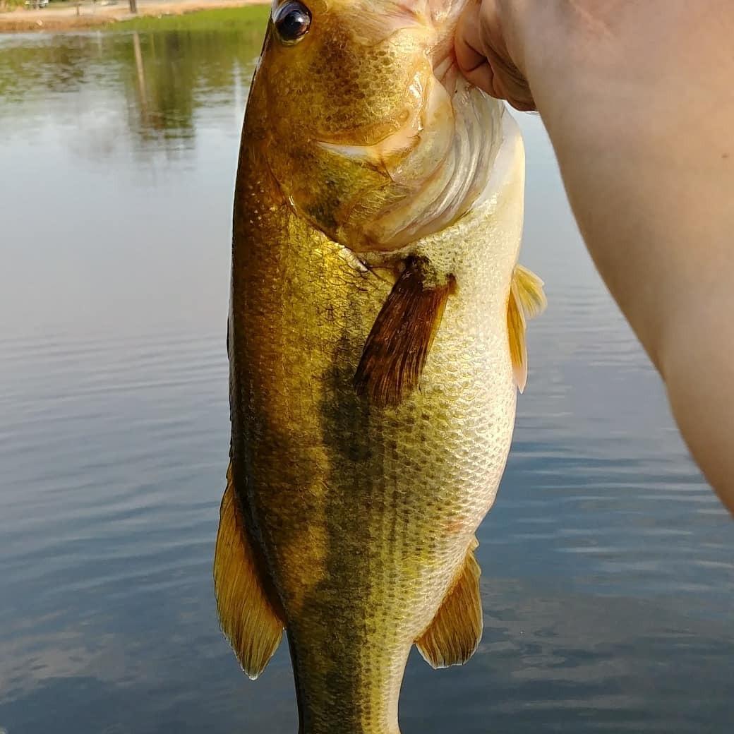 Lew's Hypersonic Spinning Reel and Fishing Rod Combo customer photo 1