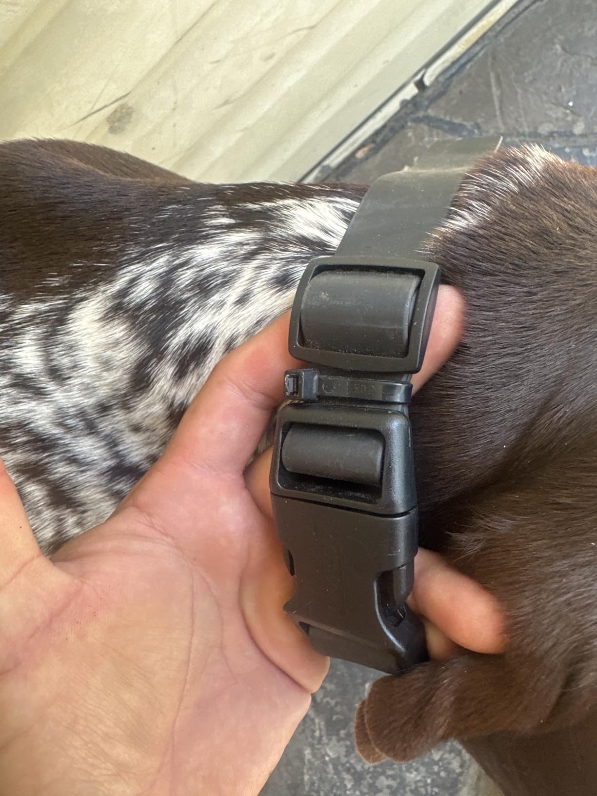 PetSafe Guardian GPS Dog Fence No Subscription - Create Your Own Wireless Dog Fence, Single-Yard Fence for Yards 3/4 Acres or Larger customer photo 1