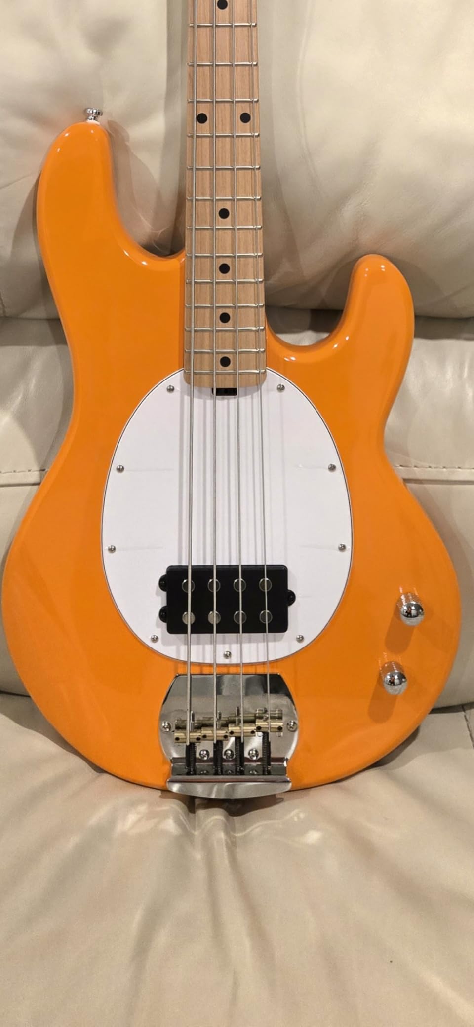 StingRay Intro Series Bass Guitar by Sterling by Music Man customer photo 1