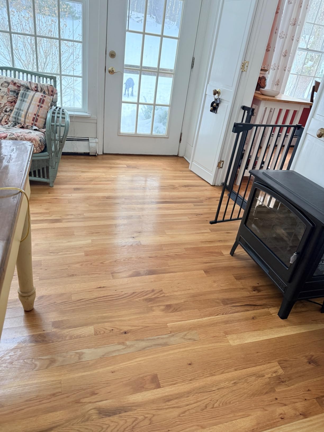 Shark Steam Pickup Lightweight 3-in-1 Steam Mop Cleaner Picks Up Debris, Deep Scrubs & Steam Sanitizes - All At Once for Sealed Hard Floors like Hardwood, Tile & Laminate, SD201 customer photo 2