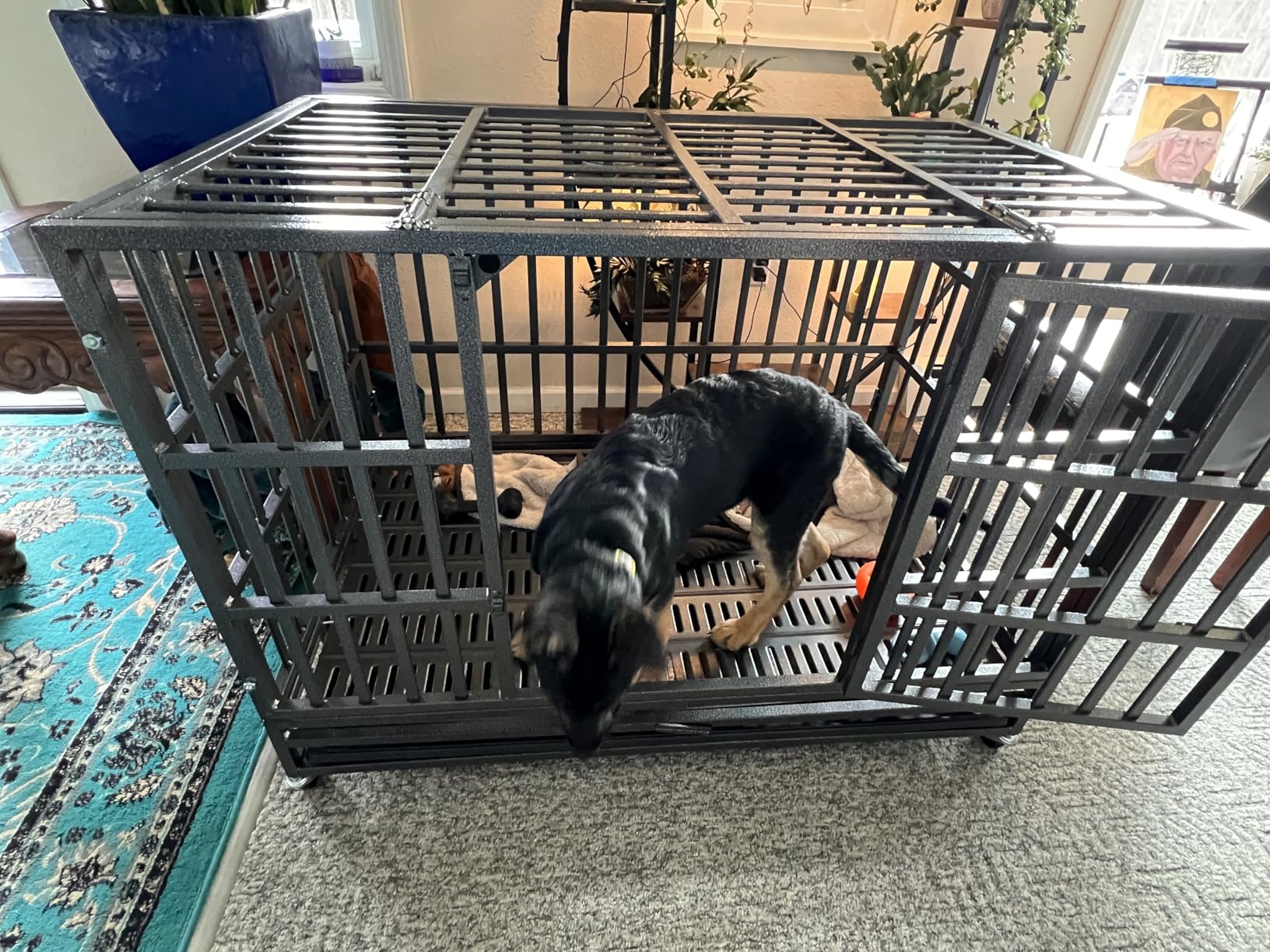 Oranland 48 inch Heavy Duty Indestructible Dog Crate, 2025 New Upgraded Reinforced Baseplate for Large Dogs, XL Dog Crate for High Anxiety Dogs/Max Load Capacity 250lbs/Double Door with Wheels customer photo 2