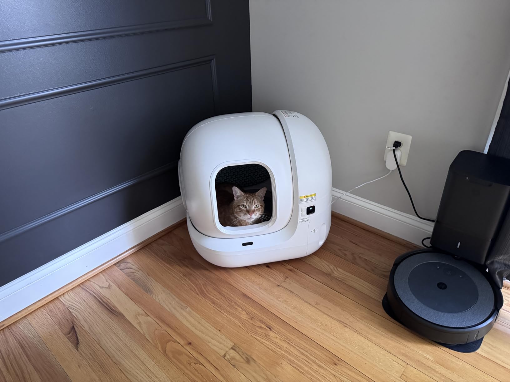 PETKIT PuraMax 2 Automatic Self-Cleaning Cat Litter Box, App Control Automatic Litter Box with Safety Sensors, Odor Free & Anti-Leakage Basic Bundle Includes Trash Bags, 2.4G WiFi & Low Entrance customer photo 1