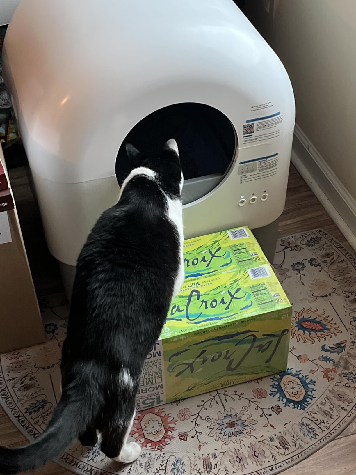 Fumoi Automatic Cat Litter Box Self Cleaning Litter Box Large Capacity for Multiple Cats, App Control with Safety Sensors, Removable Washable Liner customer photo 1
