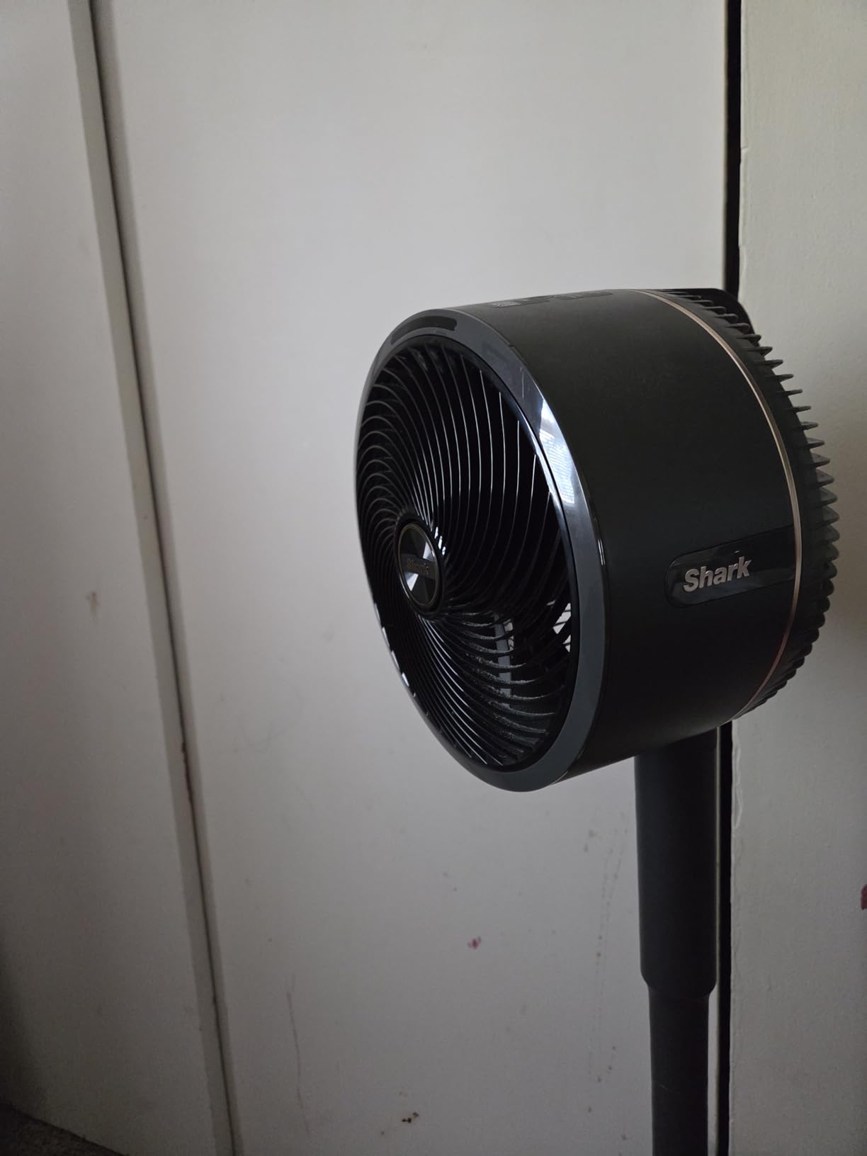 Shark FlexBreeze - Indoor & Outdoor Fan, Corded and Cordless, 2-in-1 Oscillating Pedestal and Tabletop, Up to 24-Hr Battery, FA202 customer photo 1