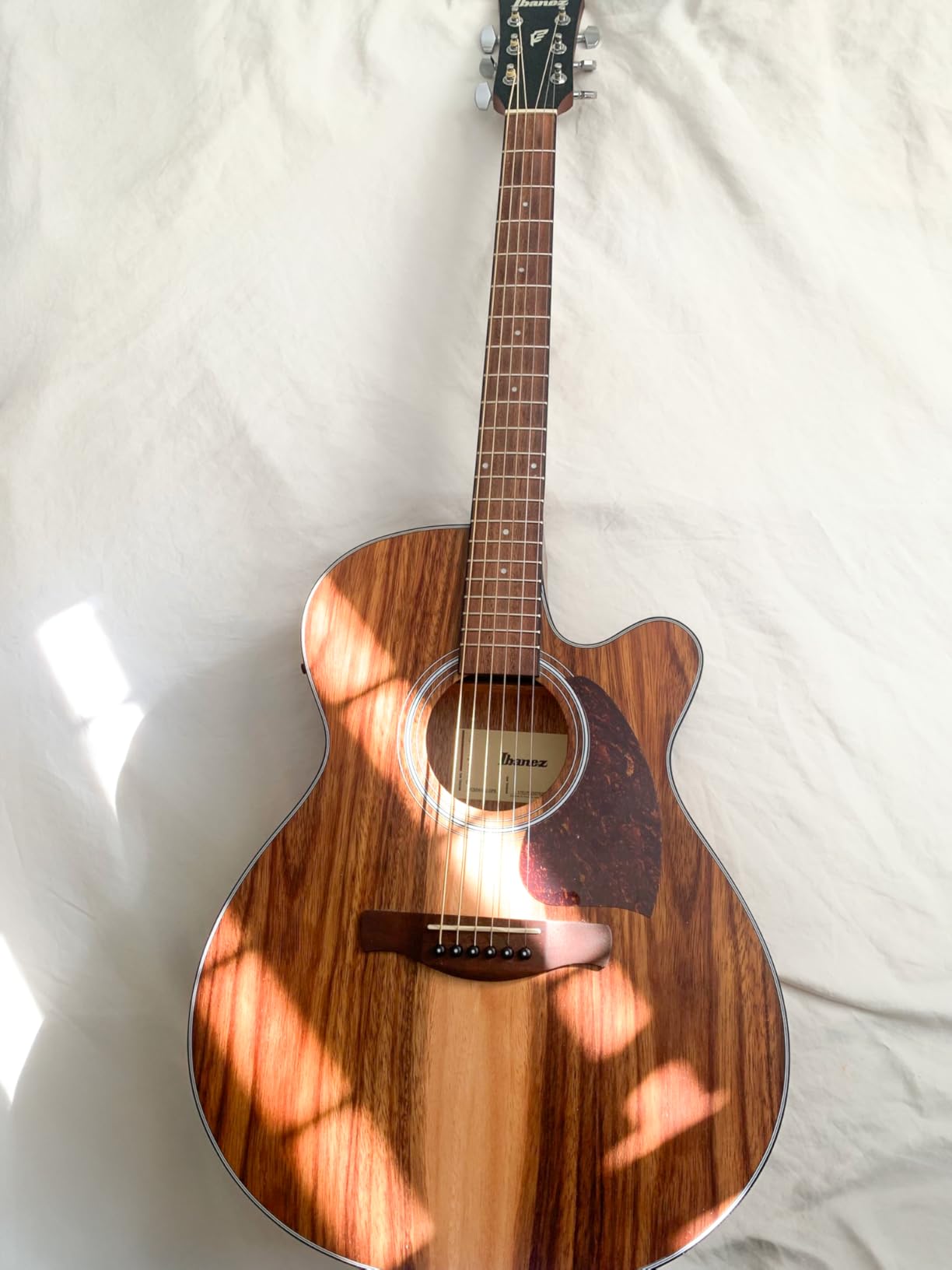 Ibanez PC50WSCE Acoustic-electric Guitar - Open-pore Natural customer photo 2