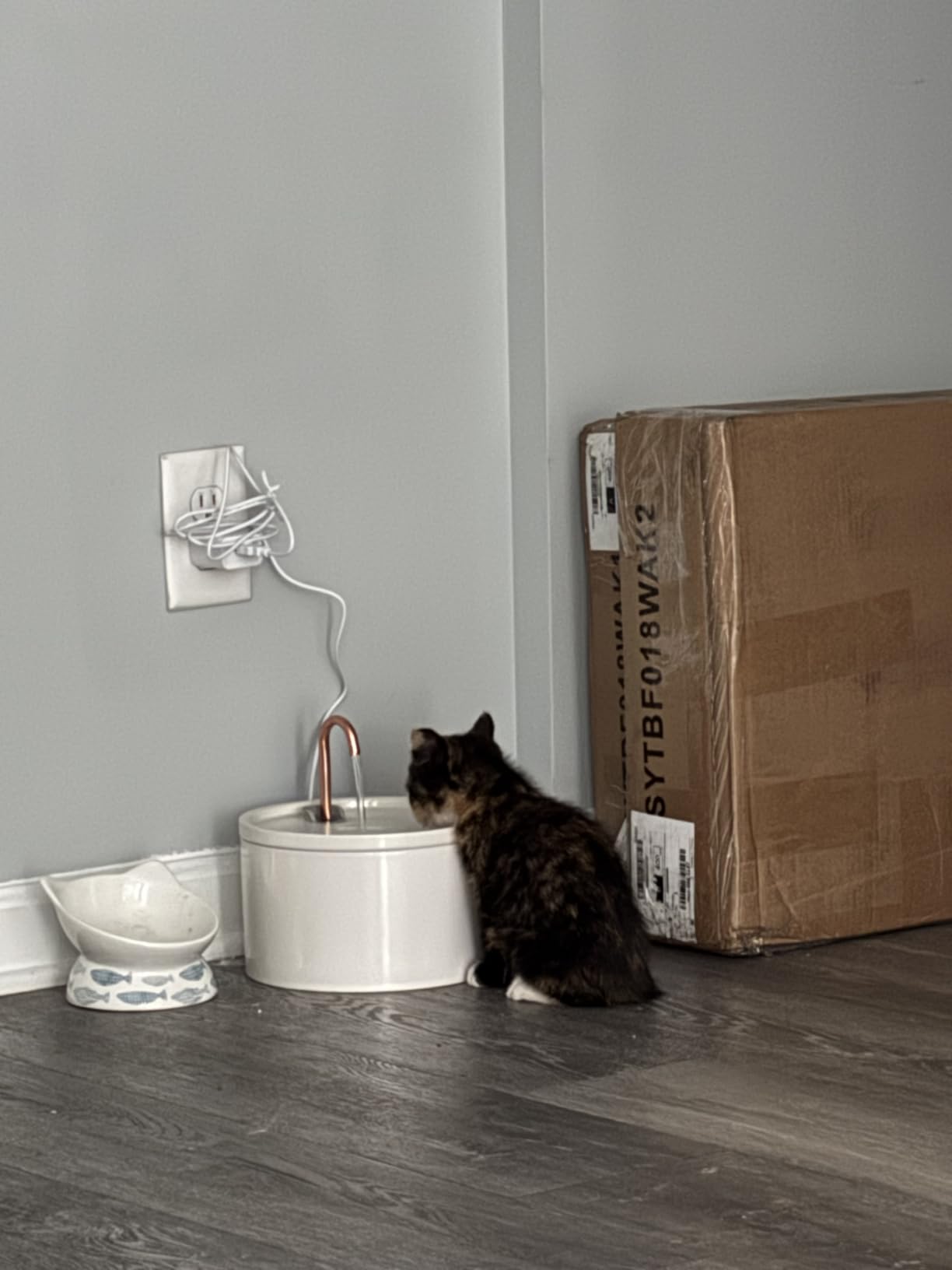 MISFANS Ceramic Cat Water Fountain - 2.1L/71oz - All-Ceramic Body & Pure Copper Water Spout - Non-Toxic - Automatic Pet Drinking Fountain Indoor with Ultra-Quiet Pump, and 3Pcs Filter & Sponge (White) customer photo 1