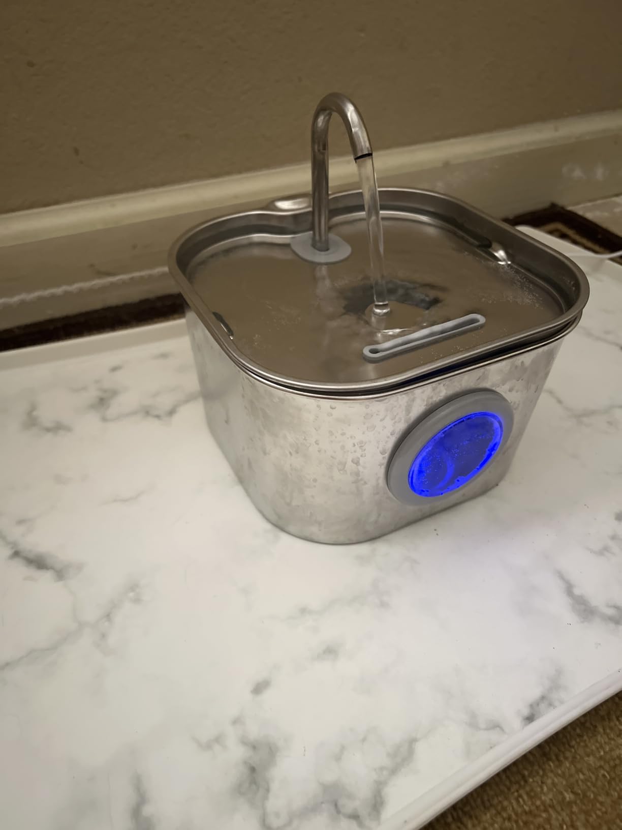 Cat Water Fountain Stainless Steel: Pet Fountains for Cats/Dog Indoor Automatic Waterer Bowls for Drinking Small Animal Water Dispenser Metal Pets Watering Faucet Bottle Auto Kitty Watering Supplies customer photo 2