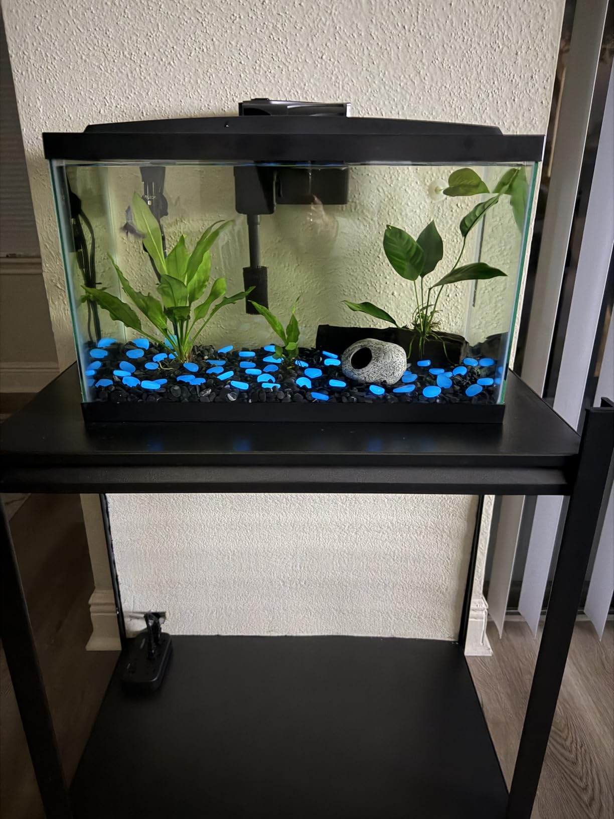 Aqueon Aquarium Starter Kit with Smart Clean Filtration and LED Lighting, Freshwater and Saltwater Fish, 10-Gallon customer photo 1