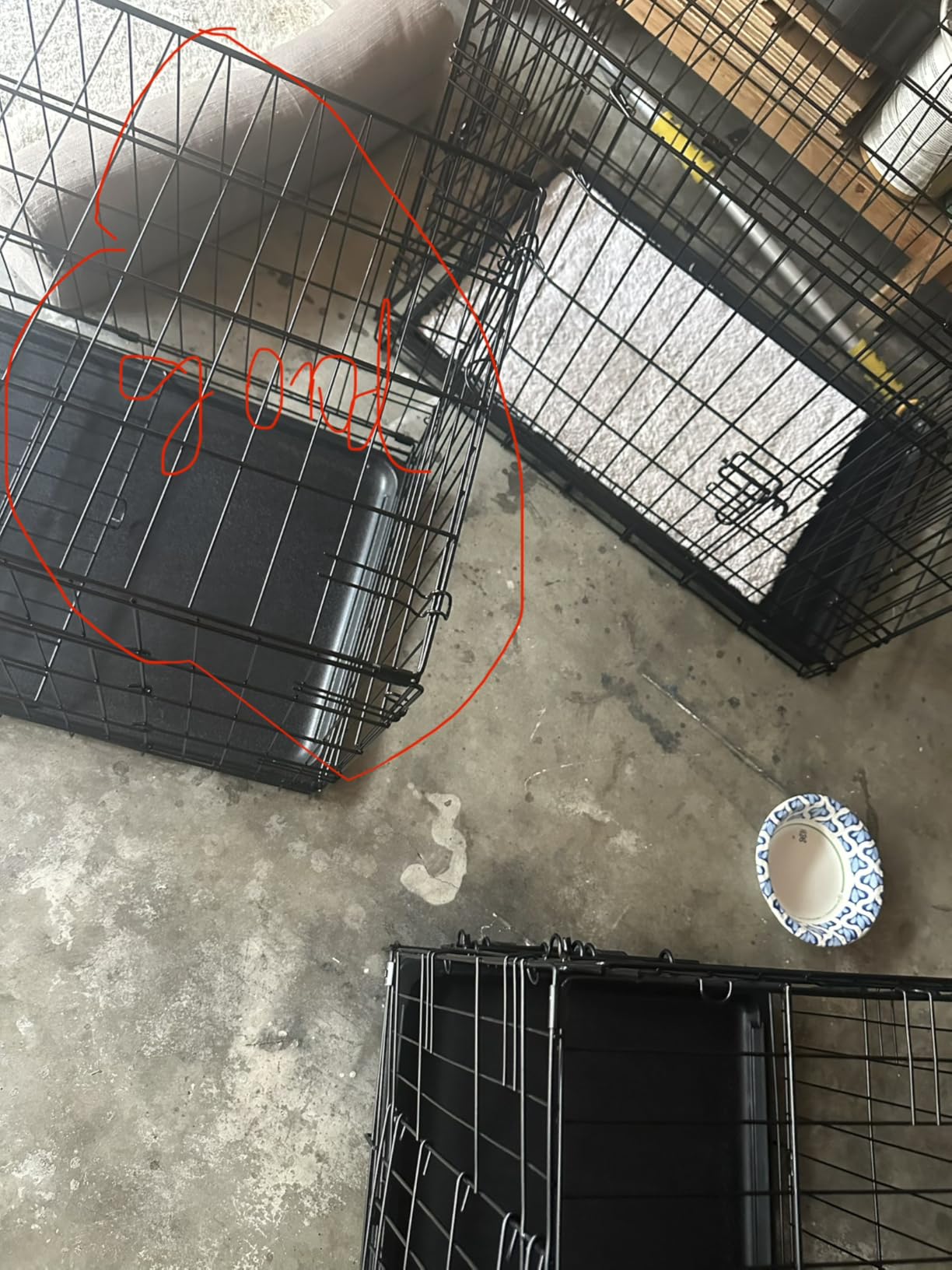 FDW Extra Large Dog Crate Dog Kennel Cage with Double Door, 48 inch Folding Metal Wire Dog Cage with Removable Tray & Divider Panel, Pet Crate for Large Dogs, Black customer photo 2