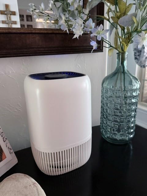 Air Purifiers for Home with High Efficiency Filter Up to 1076 Ft² for Pet Hair, Odors, Pollen, Smoke, Compact Air Cleaner with 3 Speeds, Timer, Aroma Quiet 360°Intake Filter, White customer photo 2