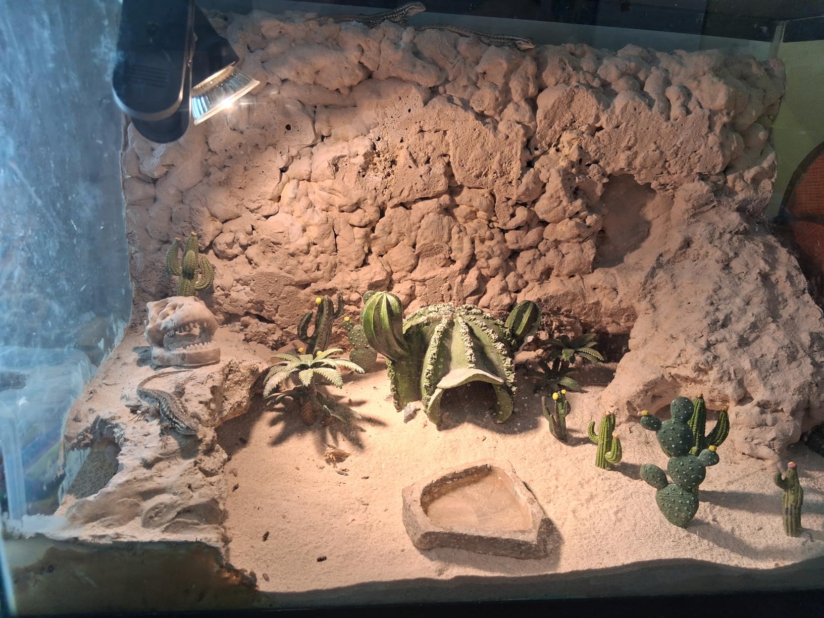 EOIVSH Desert Diorama Supplies with Cactus Kit and Model Palm Tree, Artificial Greenery Plant Cacti Decoration, Desert Diorama Project Sandbox Cake Topper Landscape Scene customer photo 1