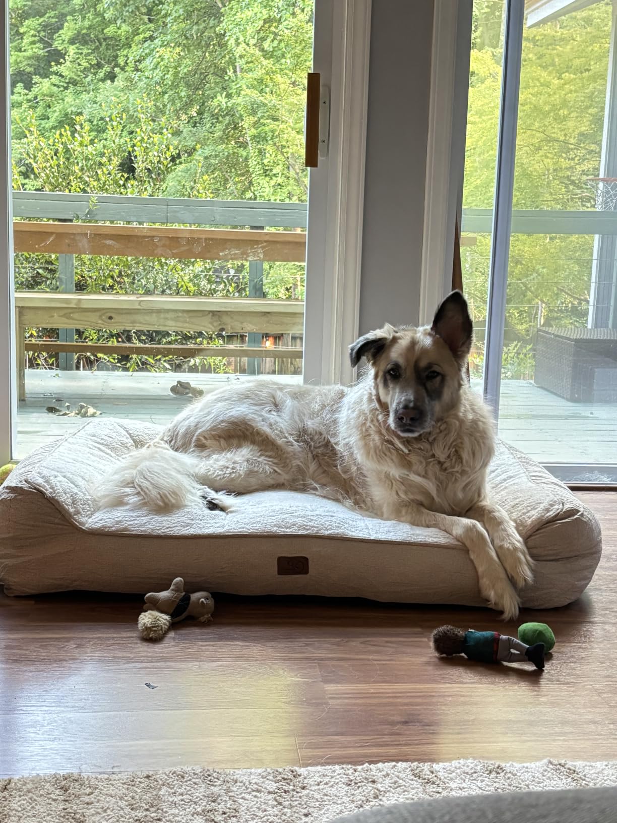 Bedsure SupportMax XL Orthopedic Dog Bed for Large Dogs - Extra Thick Supportive Dogs Couch with Waterproof Washable Cover, Extra Large Comfort Pet Sofa, Grey, 42
