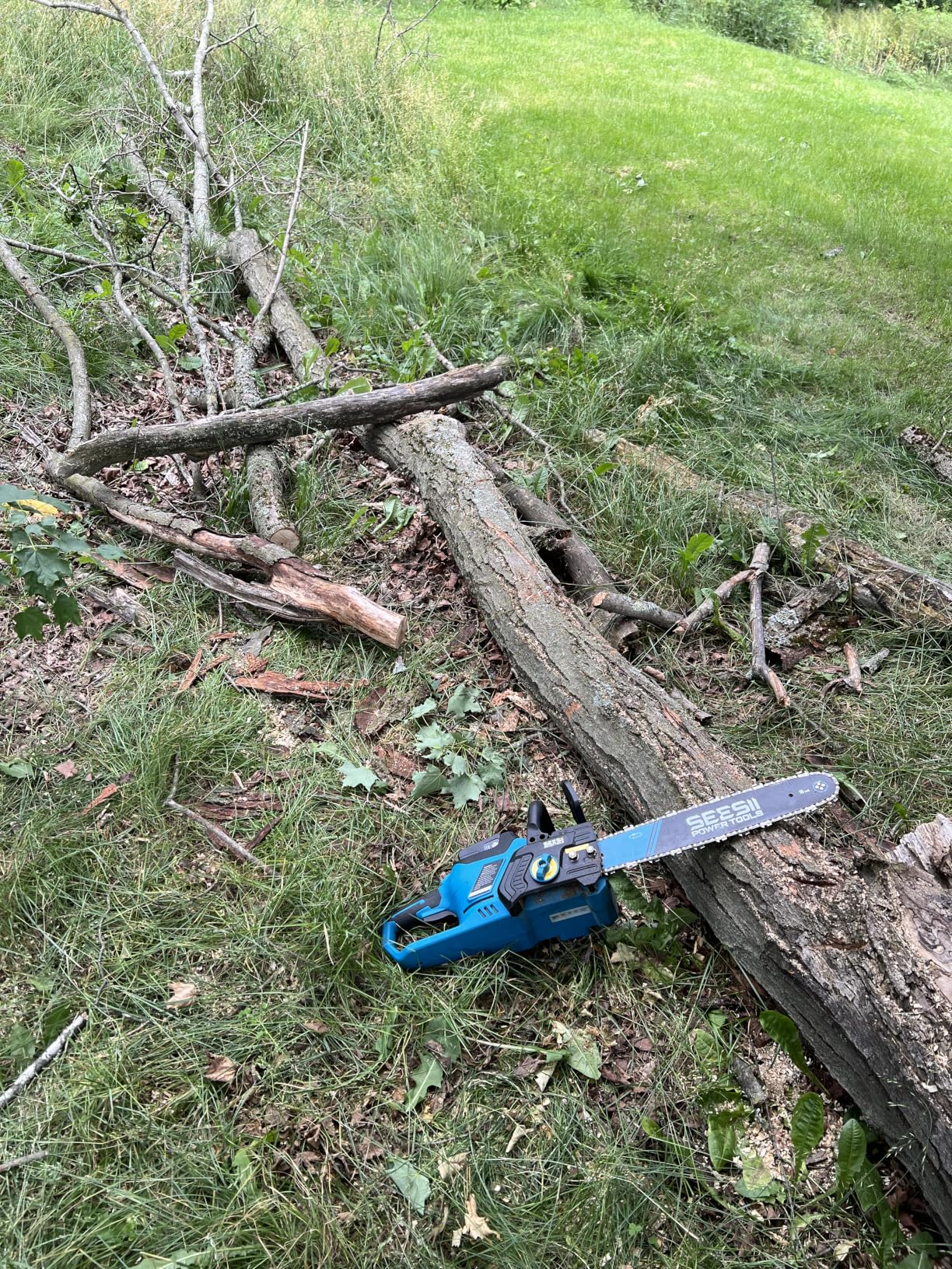 SEESII 40V 16-Inch Cordless Chainsaw: Brushless Electric Chain Saws with 2×4.0Ah Batteries & Charger, Tool-Free Chain Tension, Auto Oiling, for Tree Trimming, Wood Cutting, Yard Work customer photo 1