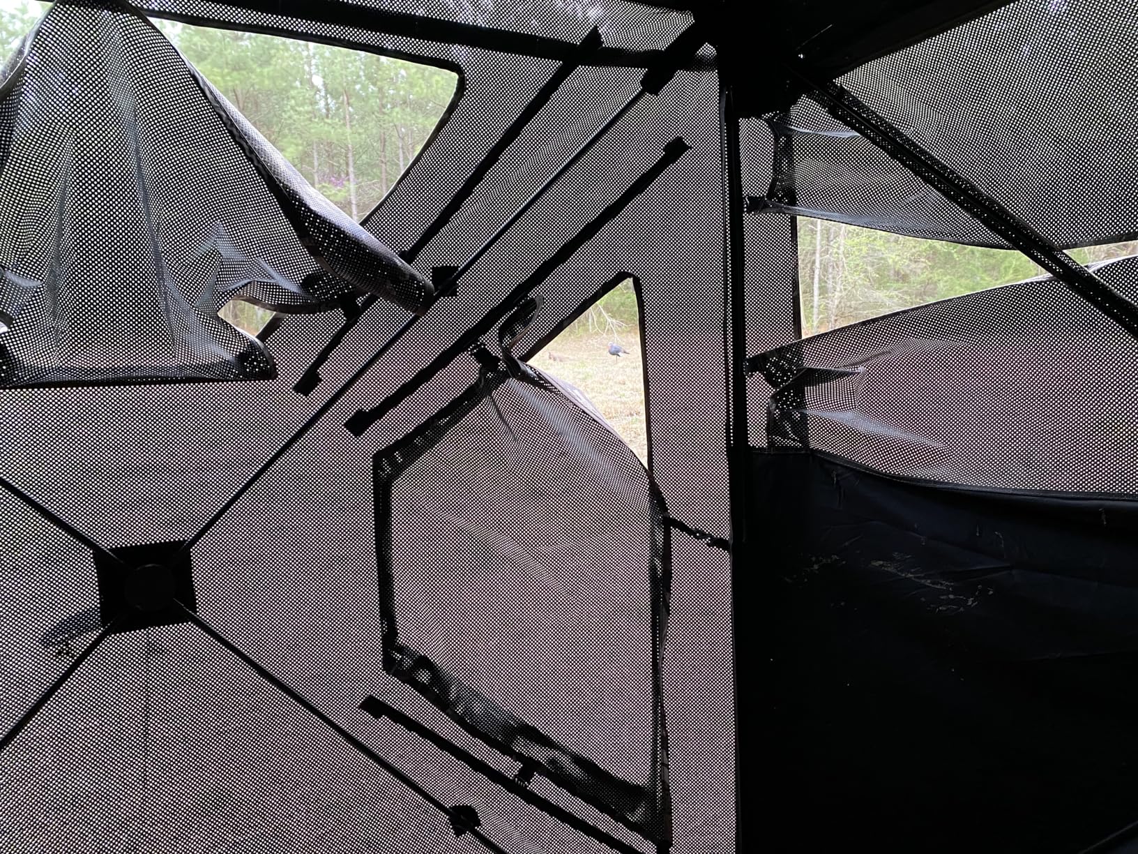 TIDEWE Hunting Blind 270°Full See Through with Windproof Curtain, Silent Magnetic Door & Sliding Windows, Pop Up Ground Blind with Carrying Bag, 300D Portable Tent customer photo 2