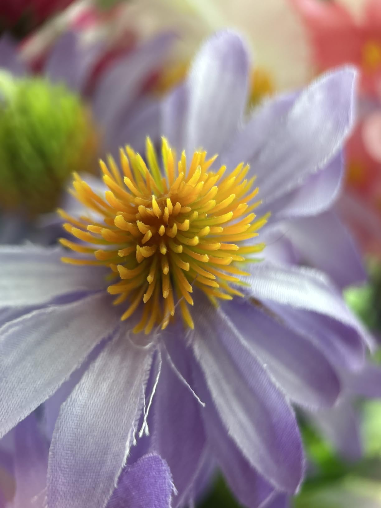 APEXEL 100Ultra Macro Lens - Enhanced Version Smartphone Lens for iPhone, Samsung, Pixel | Professional Macro Photography of Flowers, Insects, Jewelry, Food Details and Other Small Objects customer photo 2