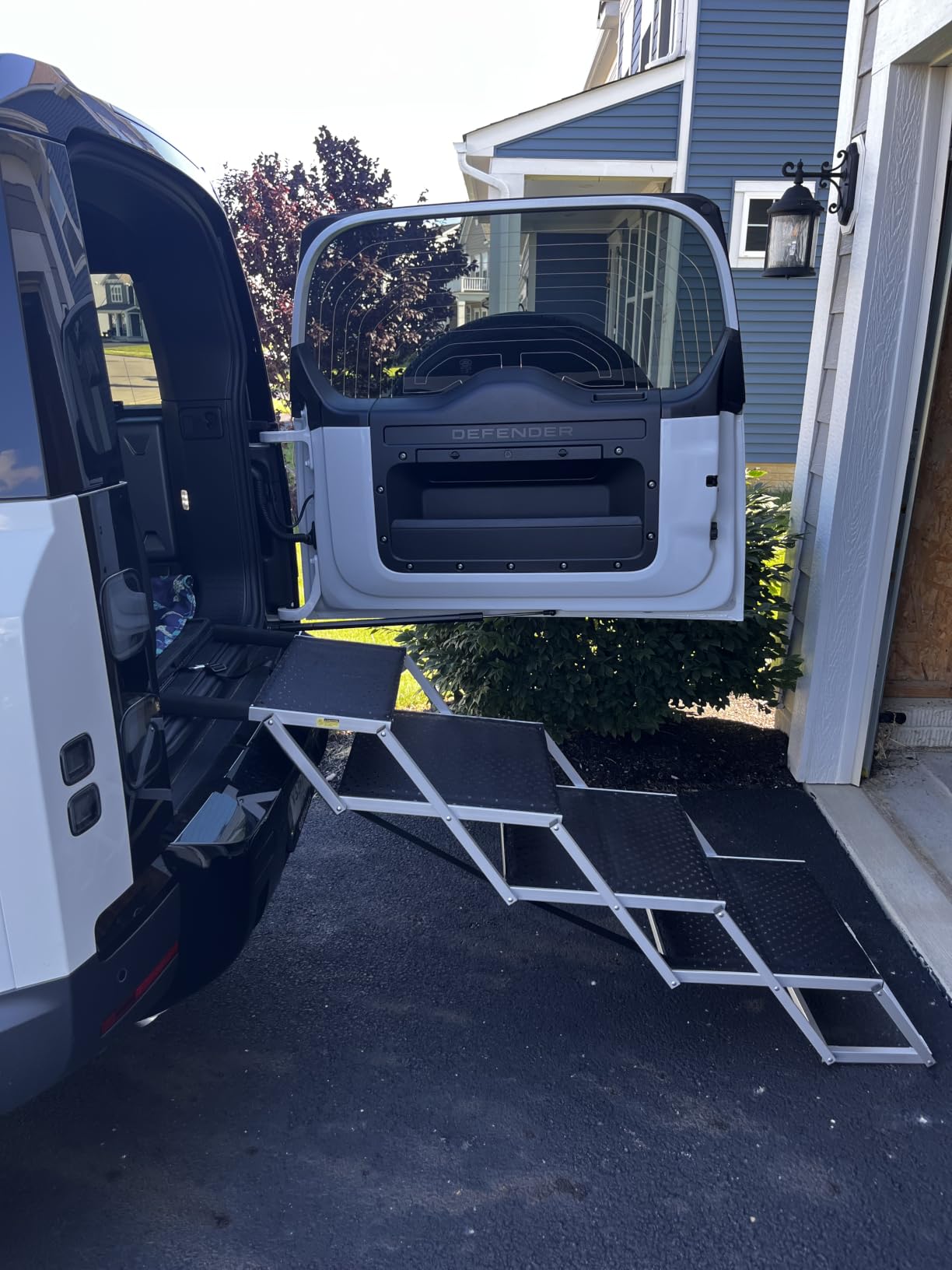 Dog Ramp for Car 63