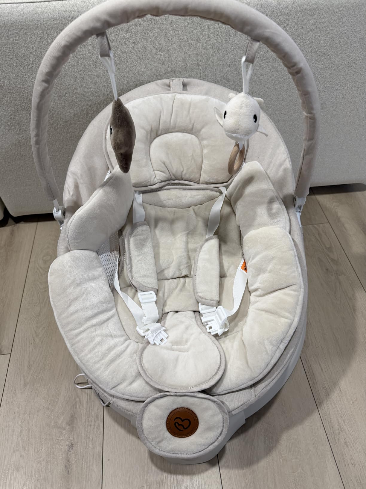 FasonBaby Electric Baby Swing with 10 Preset Melodies, 5 Speeds, Remote Control and Bluetooth - Portable Infant Swing for Indoor and Outdoor customer photo 1