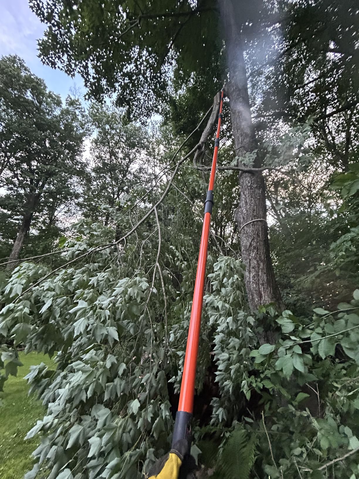 VEVOR Manual Pole Saw, 3.87-27 ft Extendable Pole Tree Pruner with Scissors, Sharp 65Mn Steel Blade, Lightweight Fiberglass Handle customer photo 1