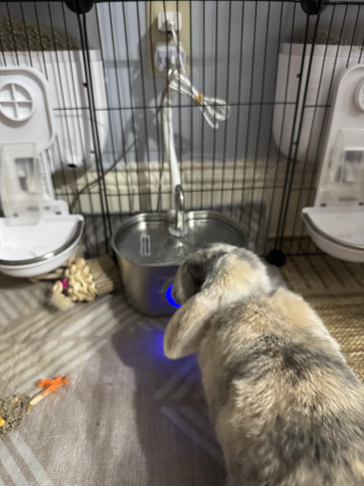 Cat Water Fountain Stainless Steel: 73oz/2.2L Cat Fountain for Drinking - Pet Water Fountain Inside - Automatic Dog Watering Dispenser Bowl customer photo 1