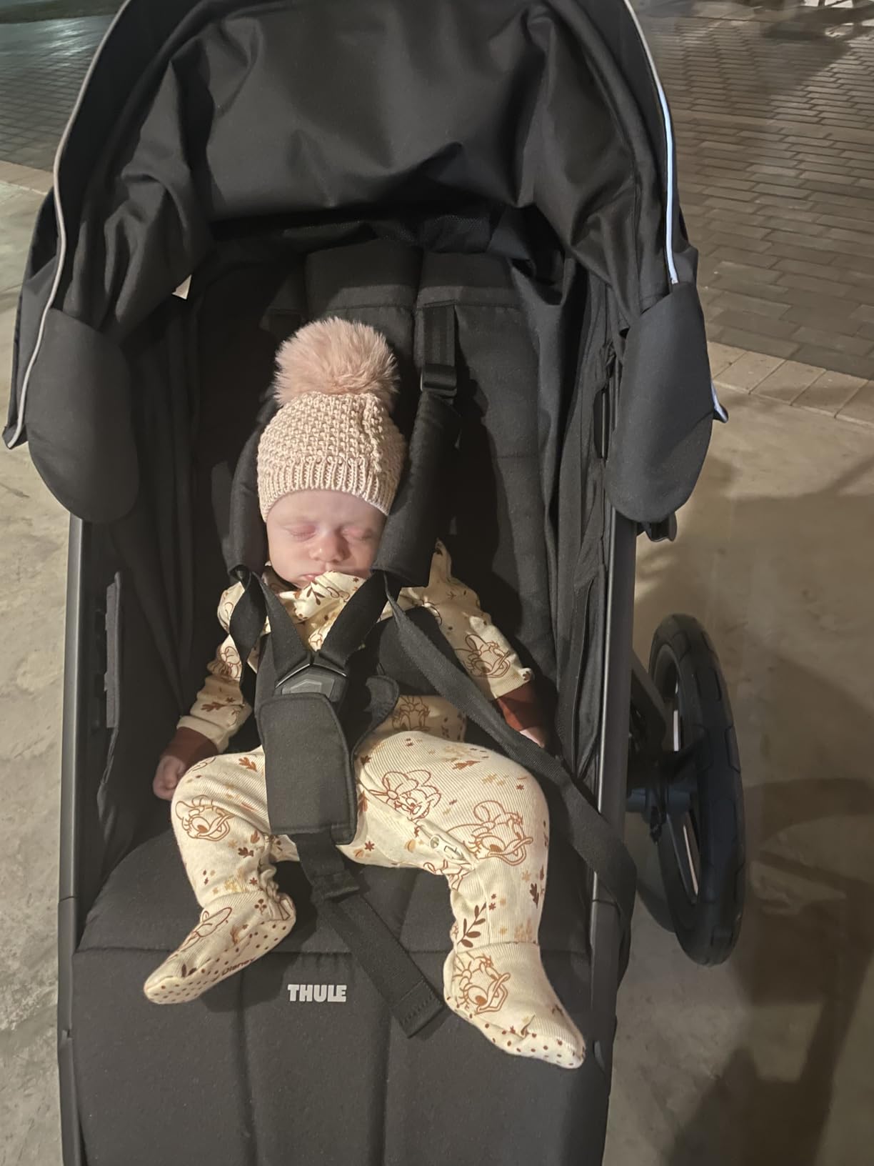 Thule Urban Glide 3 Single Child All-Terrain Stroller, Lightweight, Air-Filled Tires & Suspension, Integrated Hand Brake customer photo 2