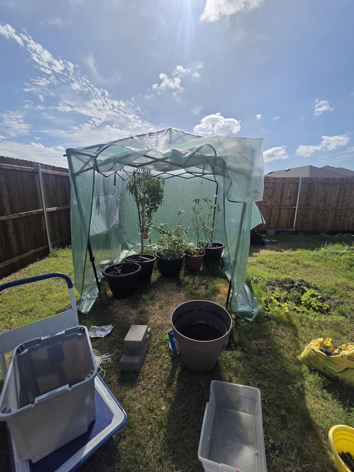 Devoko Walk-in Greenhouse, Instant Pop Up Green House for Outdoors with Zippered Door and 2 Roll-up Windows, PE Cover, Portable and Easy Assemble (Green, 8x6 Feet) customer photo 1
