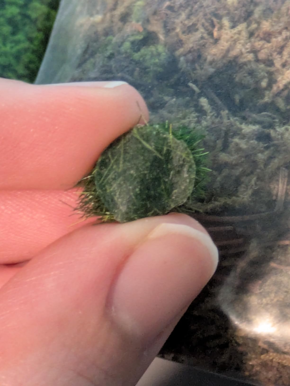 Miniature Basing Material Set - 8-Piece Battlefield Scenery Kit with Static Grass, Moss, Tufts & Model Stones - Realistic Diorama Supplies for Wargaming, Train Layouts & Military Models customer photo 1