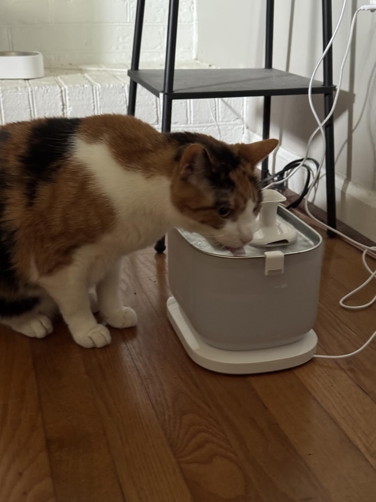 PETLIBRO Cat Water Fountain Stainless Steel Tray, Wireless Pump Cat Fountain, Ultra Quiet Pet Water Fountain, 2.5L Automatic Water Dispenser for Cats, Dual Flow customer photo 1