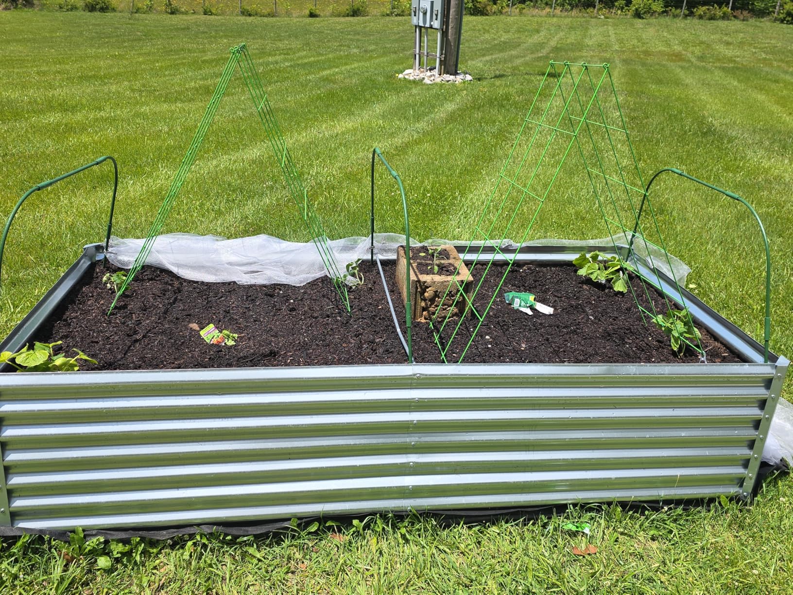 Tall Galvanized Raised Garden Bed Kit Outdoor Patio, 6x3x2ft Large Rectangular Metal Planter Boxes, Deep Root Box Planter for Gardening, Vegetables, Flowers, Herbs, 1 Pack, Silver customer photo 2