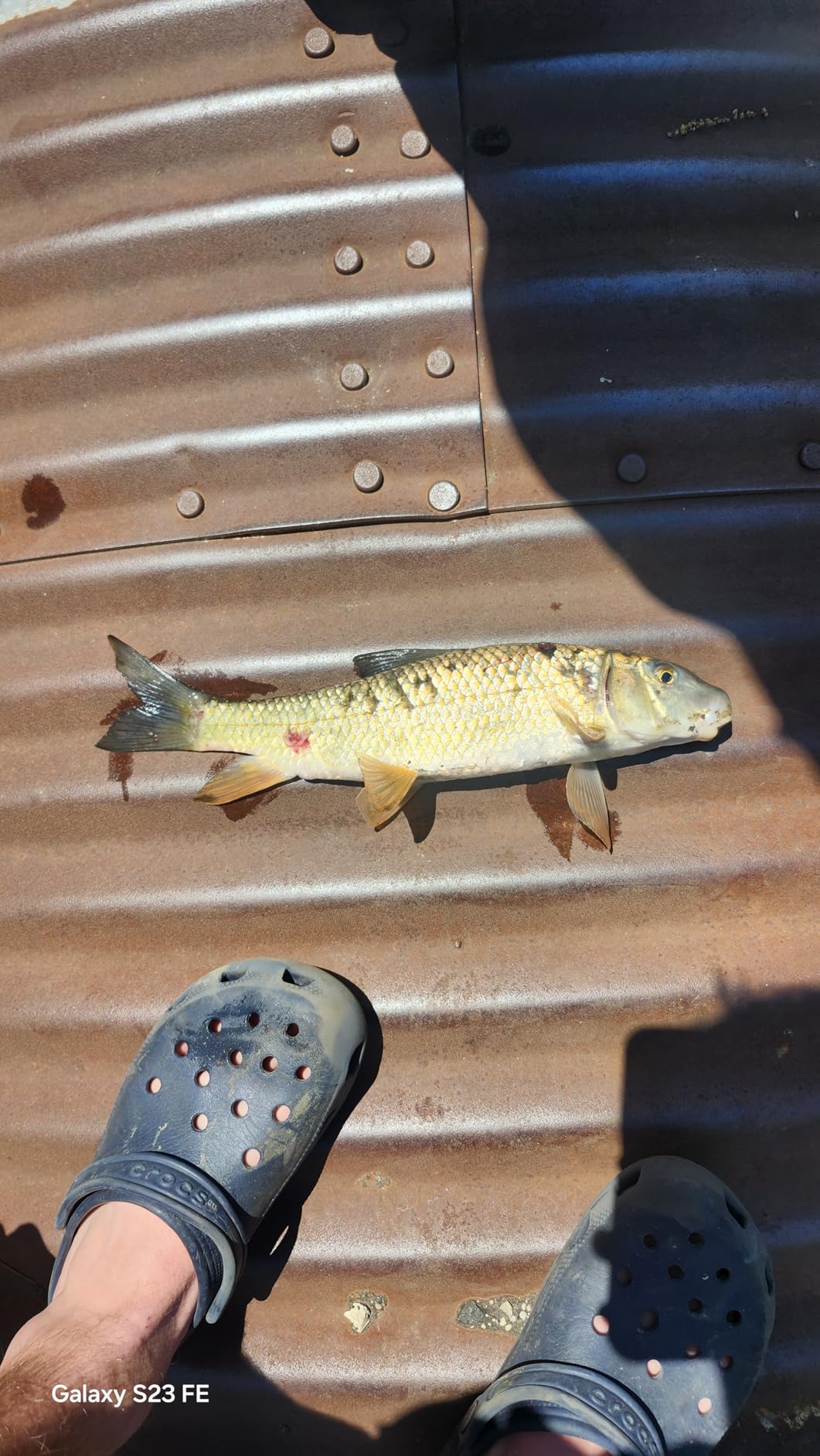 KastKing Brutus Twin-Tip Fishing Rod and Reel Combo, Baitcaster customer photo 1