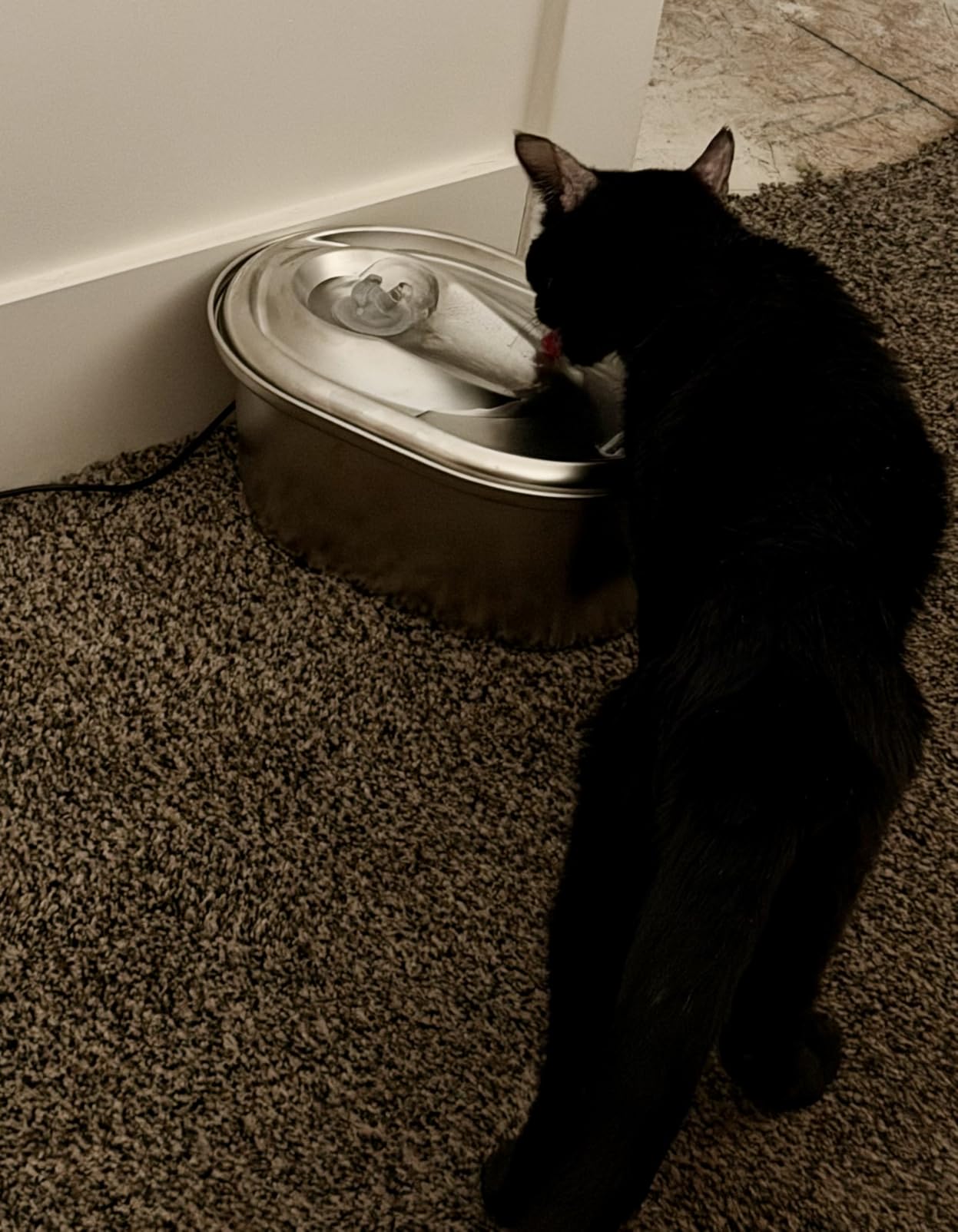 PETLIBRO Stainless Steel Cat Water Fountain, 101oz/3L Automatic Water Dispenser for Cats Indoor, Quiet Pet Water Dispenser with 2 Filters, Adjustable Flow Cat Fountain customer photo 1