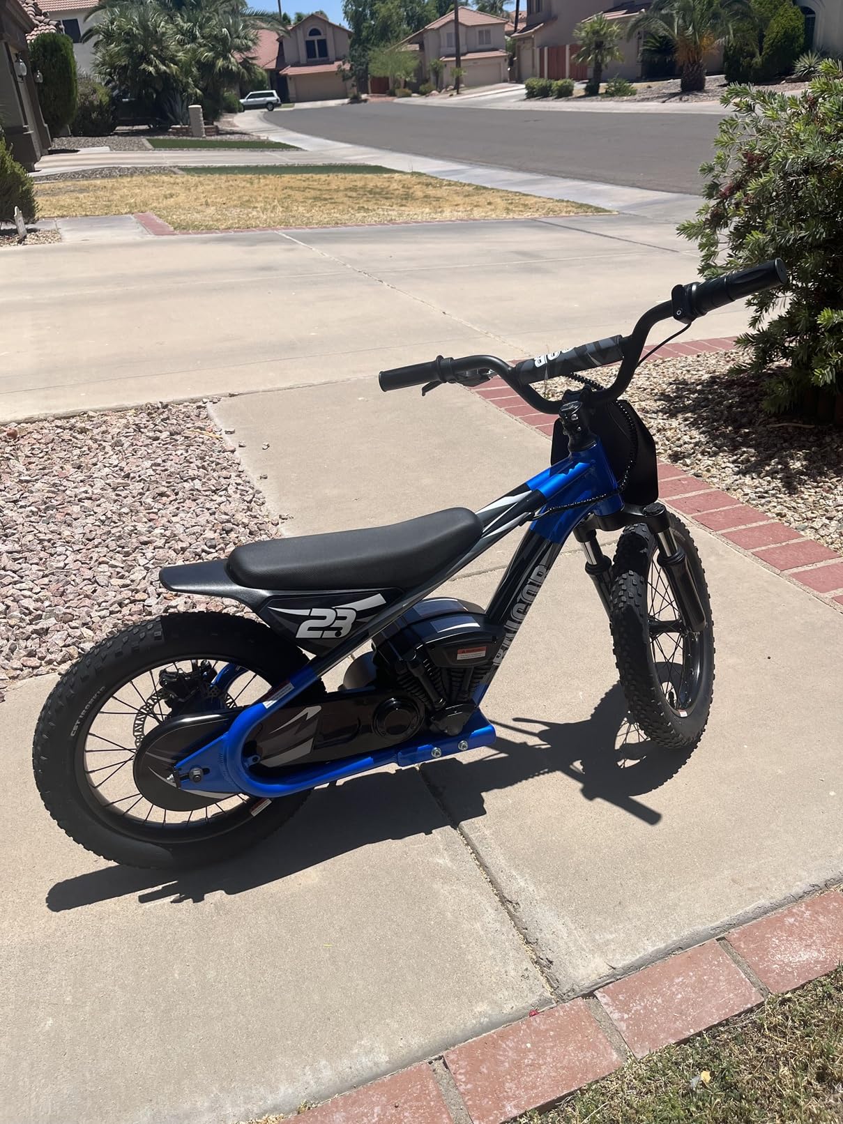 wanan 250W Electric Dirt Bike for Kids 8-12, Electric Bike for Kids 15MPH, 24V Detachable Battery, 16