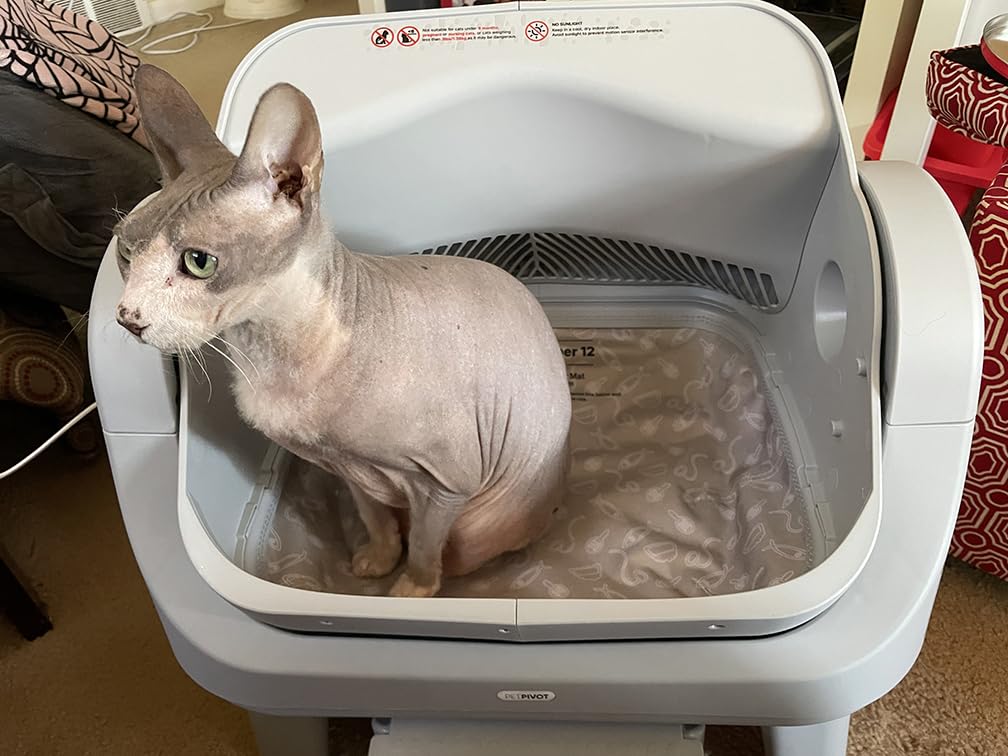 PetPivot Open Top Self Cleaning Cat Litter Box, Automatic Litter Box with 7 Pairs of Safety Sensors, Anti-Pinch Protection and Easy Access Step for Senior Cats, Dark Grey customer photo 2