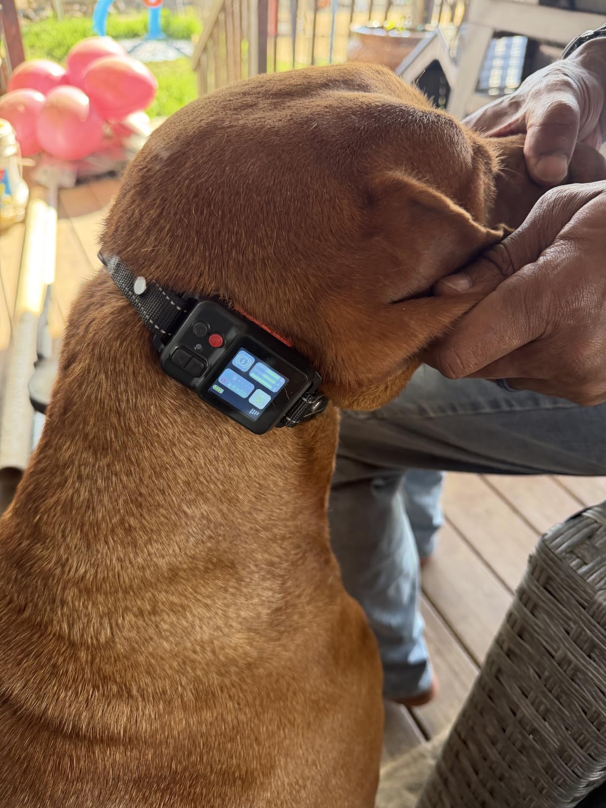 GPS Wireless Dog Fence System, Invisible Dog Fence with GPS Collar, 49-6561FT Range, IP67 Waterproof Rechargeable Collars, Electric Dog Fence for Large Medium Dogs customer photo 1