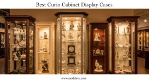 Best Curio Cabinet Display Cases