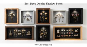 Best Deep Display Shadow Boxes
