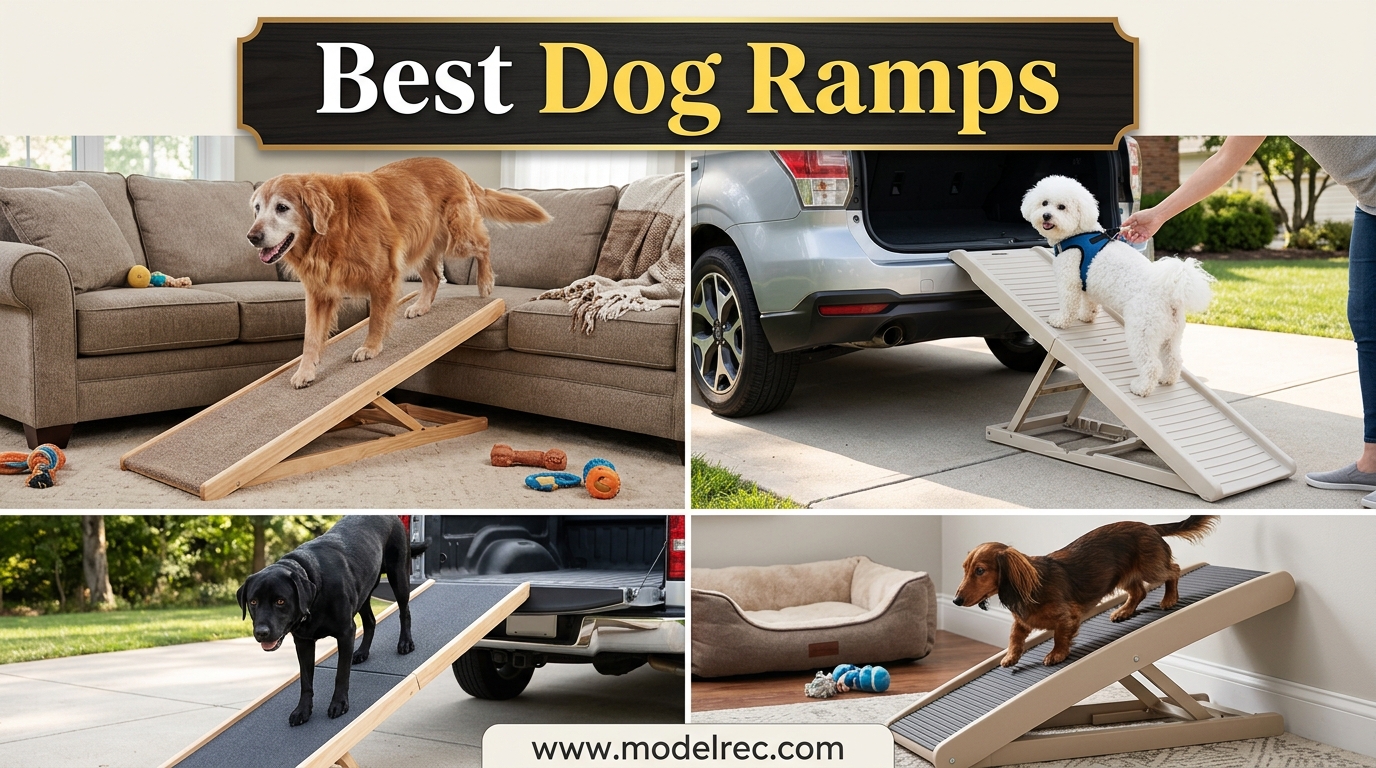 Best Dog Ramps