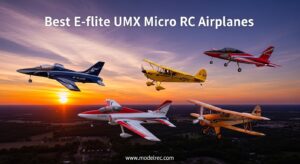 Best E-flite UMX Micro RC Airplanes
