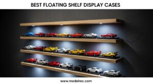Best Floating Shelf Display Cases