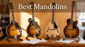 Best Mandolins
