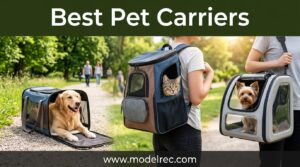 Best Pet Carriers