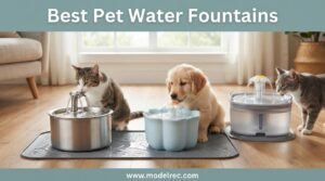Best Pet Water Fountains